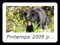 Pintemps 2009 par Bruno Barre